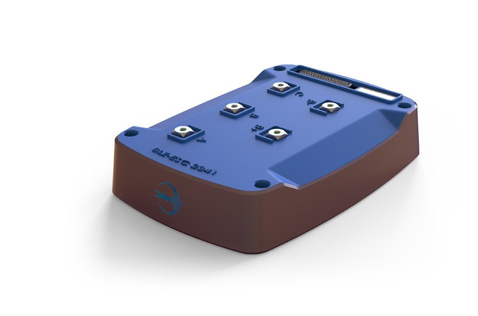 Blitz esc